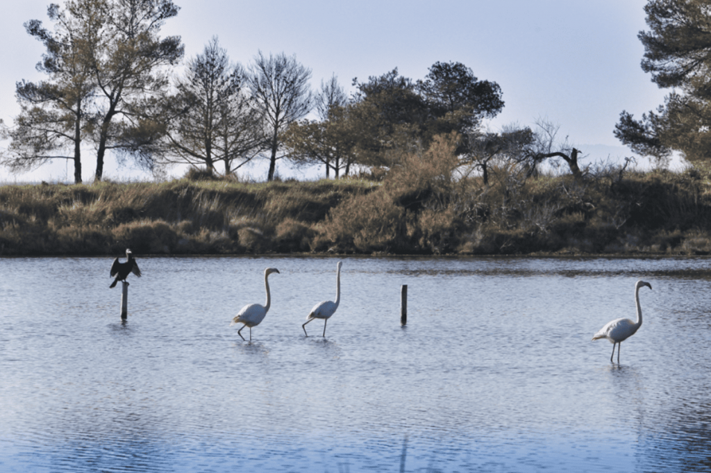 vacances dans le Var